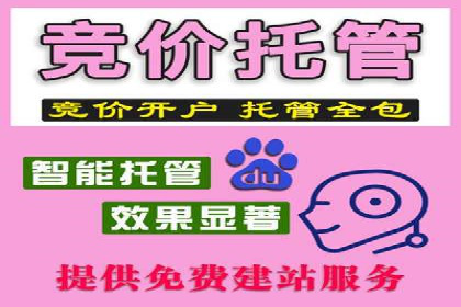 案例展示：SEM助力中小企业拓展市场